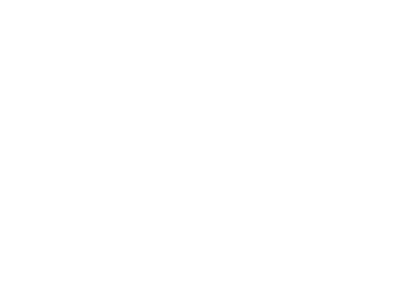 高國華 簽名